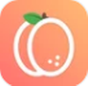 白杏云app V1.0.0