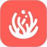 珊瑚整装app V1.0.0