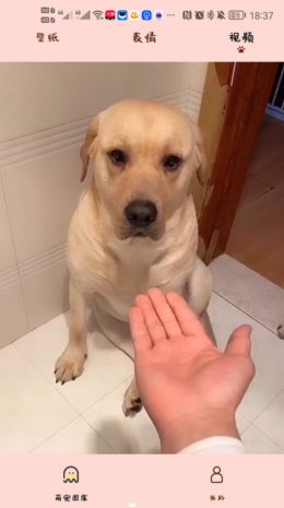 2021-9-2 8-35-06.png 2021-9-2 8-35-06.png