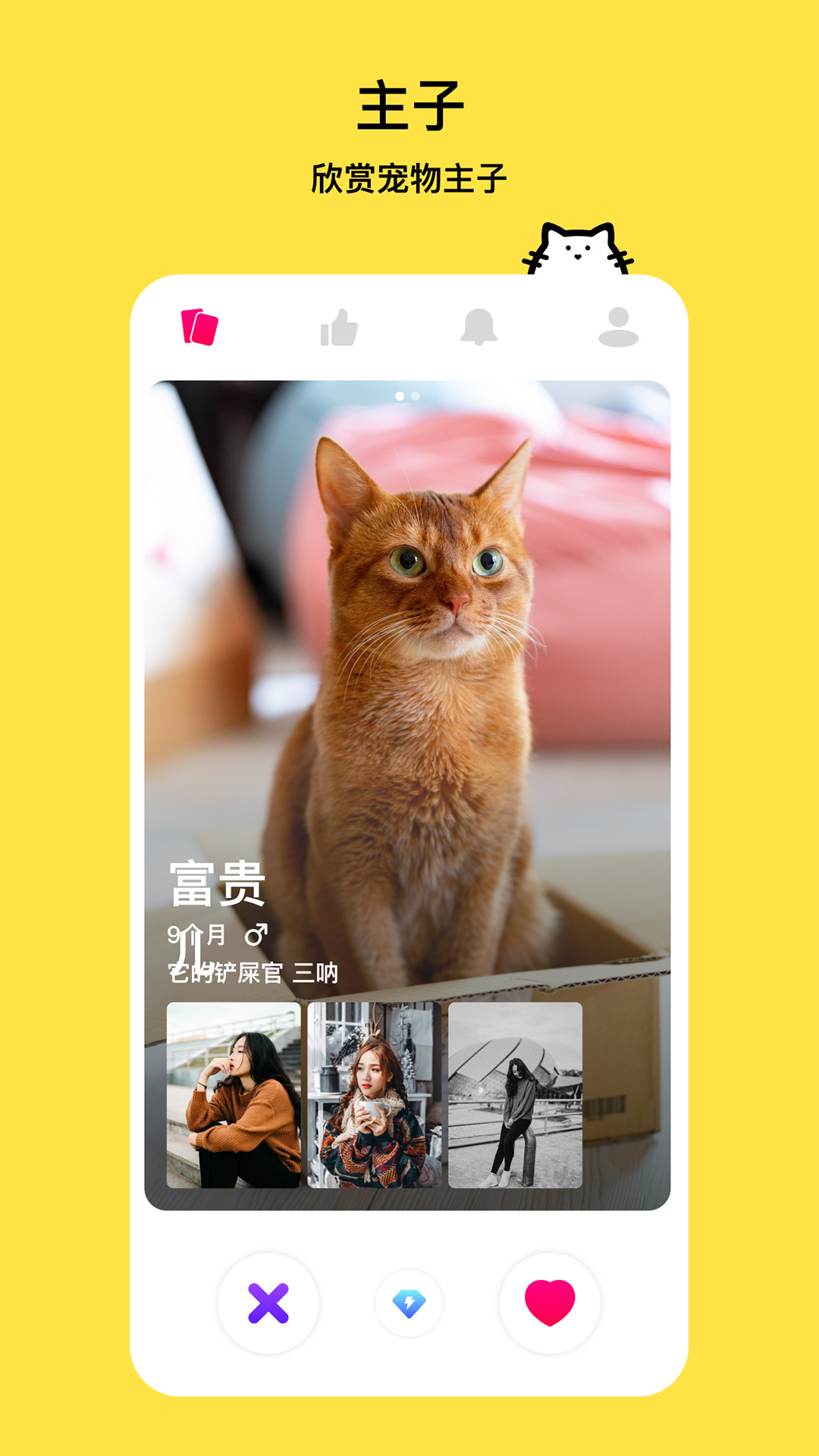 thinkpet APP V1.0.6截图1