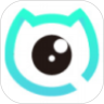 洞察猫app V1.0.0