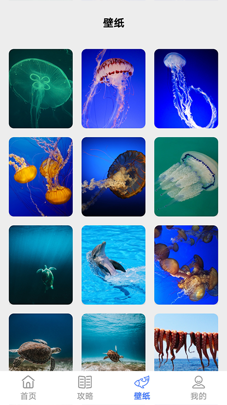 赶海app V1.1截图2