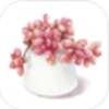 多肉花草日记app V1.0
