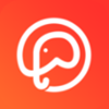 大象拍车app V1.0.0