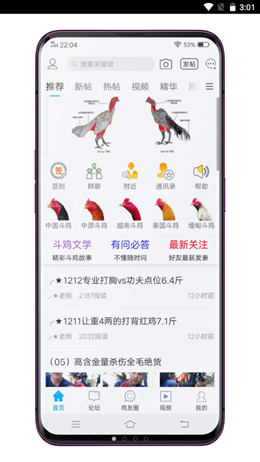 中国斗鸡论坛app V2.6.9截图1