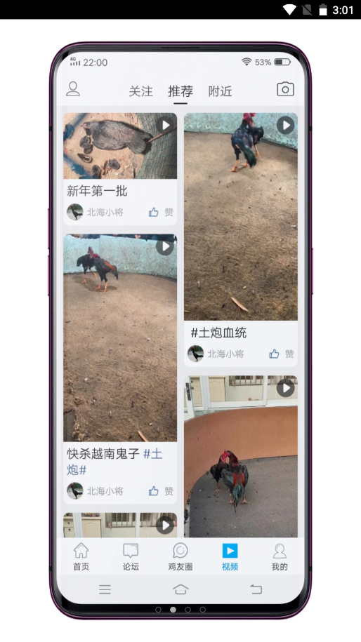 中国斗鸡论坛app V2.6.9截图2