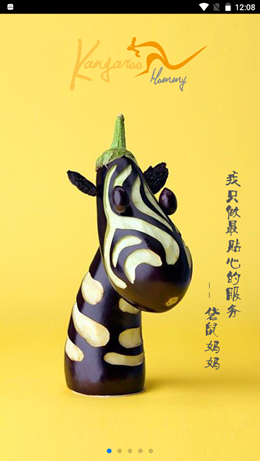 袋鼠妈妈app V0.3.5截图1