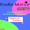 马尔凯电台app V9.8